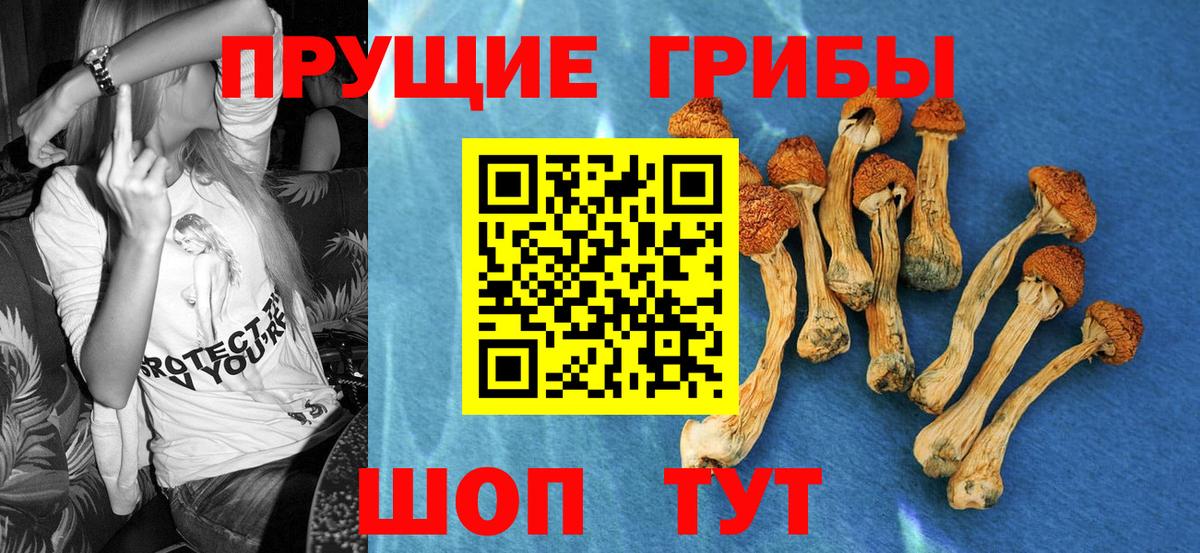 Галлюциногенные грибы Cubensis Сафоново